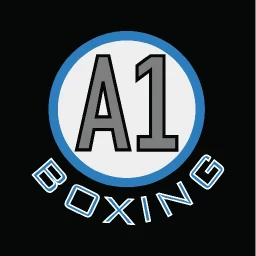 Ikon A1 Boxing App